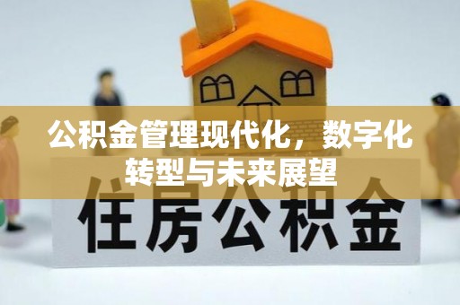 元宝山公积金管理现代化，数字化转型与未来展望