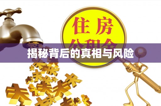 元宝山揭秘背后的真相与风险