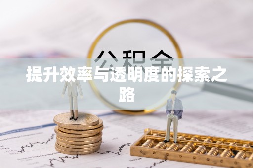元宝山提升效率与透明度的探索之路