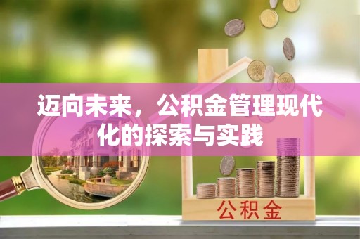 元宝山迈向未来，公积金管理现代化的探索与实践