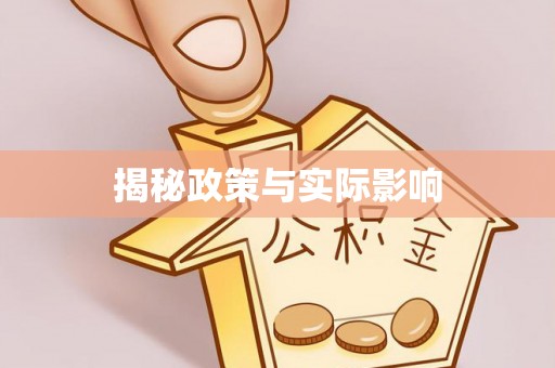 元宝山揭秘政策与实际影响