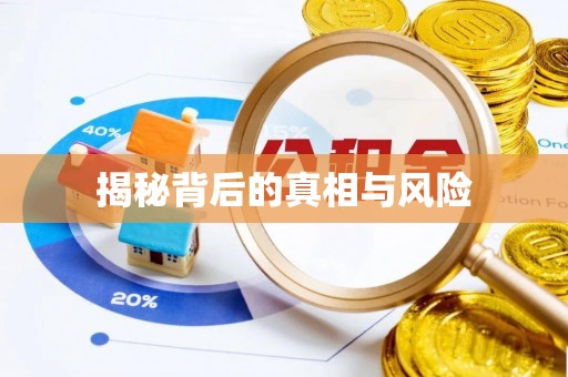 元宝山揭秘背后的真相与风险